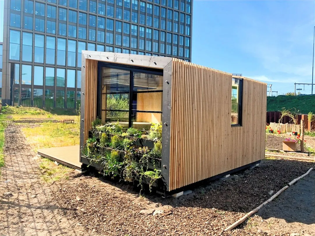 Koka karkasa mājas būvniecības projekts